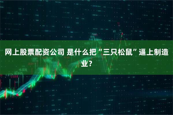 网上股票配资公司 是什么把“三只松鼠”逼上制造业？