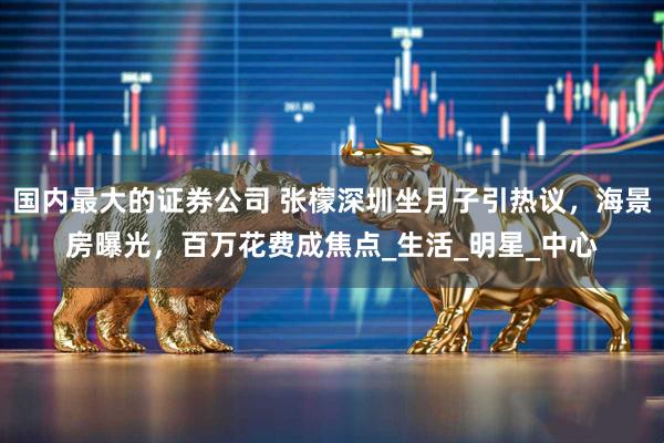 国内最大的证券公司 张檬深圳坐月子引热议，海景房曝光，百万花费成焦点_生活_明星_中心