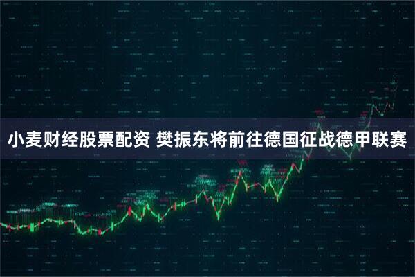 小麦财经股票配资 樊振东将前往德国征战德甲联赛